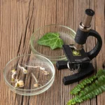 Alternatif Tıp ve Modern Tıp Arasındaki Farklar