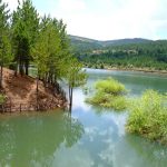 Yozgat Milli Çamlık Parkı